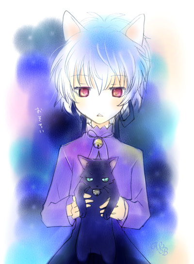 shima yukiwa, mao (darker than black), yin (darker than black), darker than black, 00s, animal ears, black cat, cat, cat ears, solo