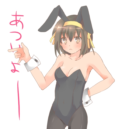 suzumiya haruhi, suzumiya haruhi no yuuutsu, tagme, 00s, animal ears, pantyhose, playboy bunny