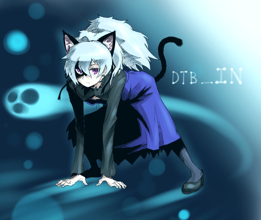 oso (toolate), yin (darker than black), darker than black, silver hair, 00s, 1girl, all fours, animal ears, blue dress, cat ears, cat tail, dress, female focus, hair between eyes, pantyhose, ponytail, purple eyes, shoes, solo, tail