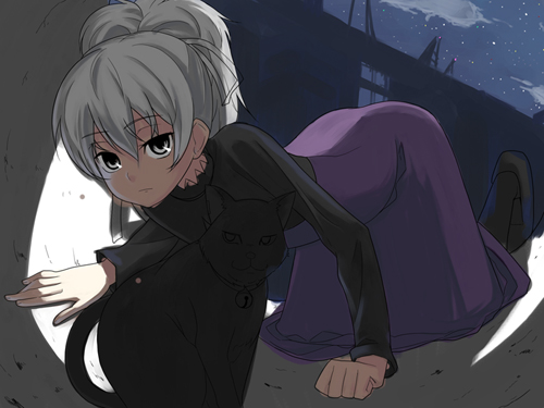 b-ginga, mao (darker than black), yin (darker than black), darker than black, lowres, 00s, 1girl, black cat, building, cat, crawling, dress, female focus, grey hair, long sleeves, night, night sky, outdoors, ponytail, purple dress, sky, smoking pipe
