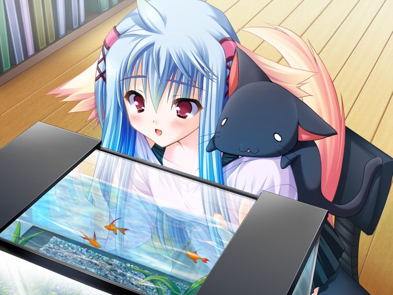 moekibara fumitake, shikishima krile, nursery rhyme, game cg, 1girl, animal ears, cat, cat ears, cat tail, female focus, fish, fish tank, long hair, smile, solo, tail, wooden floor