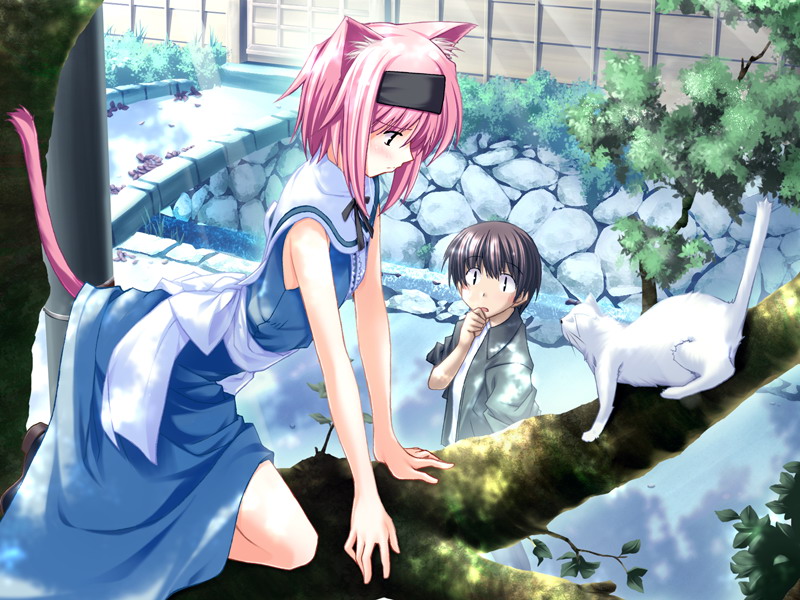 yumesaki haruka, saishuu shiken kujira, 00s, 1boy, 1girl, animal ears, blush, cat, cat ears, cat tail, dress, in tree, pink hair, ribbon, tail, tree