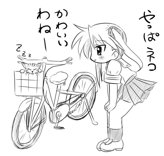 jun (aoerm), hiiragi kagami, lucky star, translated, 00s, bicycle, cat, monochrome, school uniform, serafuku, sketch