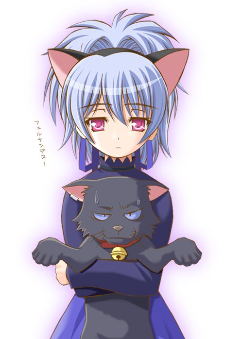 shiumai, mao (darker than black), yin (darker than black), darker than black, 00s, 1girl, animal ears, black cat, cat, cat ears, female focus, solo, teardrop