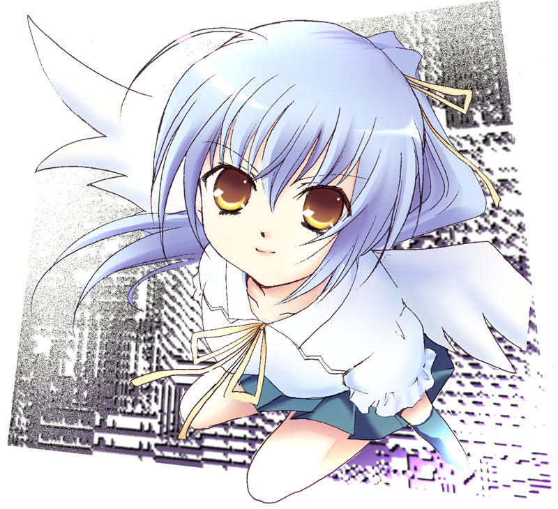 tagme, wings