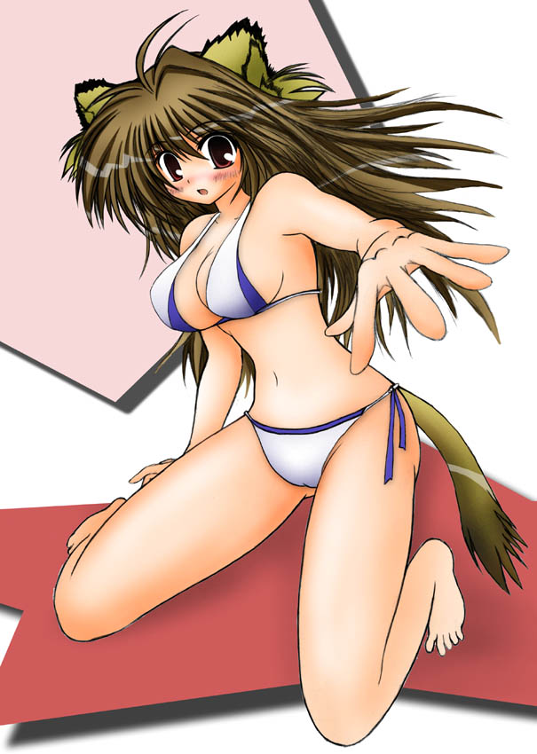 tagme, swimsuit