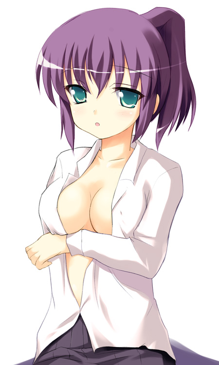 safi, henrietta de tristain, zero no tsukaima, 00s, 1girl, blue eyes, blush, breasts, cleavage, female focus, green eyes, large breasts, medium breasts, open clothes, open shirt, ponytail, purple hair, shirt, short hair, skirt, solo