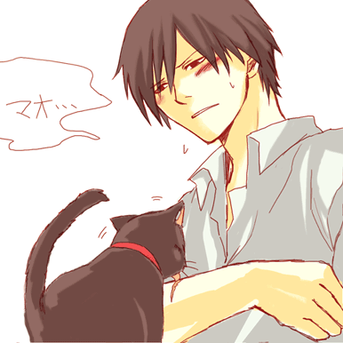 hei (darker than black), mao (darker than black), darker than black, lowres, …, 00s, 1boy, black cat, black hair, blush, cat, collar, cuts, injury, licking, male focus, shirt, simple background, solo, tongue, white background, white shirt