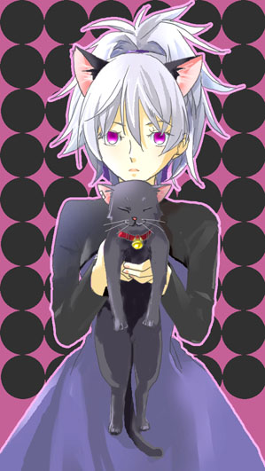 mao (darker than black), yin (darker than black), darker than black, 00s, 1girl, animal ears, black cat, cat, cat ears, collar, dress, female focus, grey hair, holding, long sleeves, pink eyes, polka dot, polka dot background, ponytail, purple dress