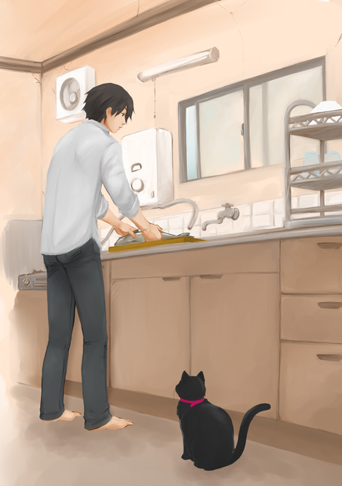 hei (darker than black), mao (darker than black), darker than black, tagme, 00s, black cat, cat