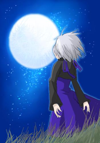 yin (darker than black), darker than black, lowres, 00s, 1girl, back, dress, female focus, grass, grey hair, hair ribbon, long sleeves, moon, night, night sky, ponytail, purple dress, purple ribbon, ribbon, sky, solo, standing