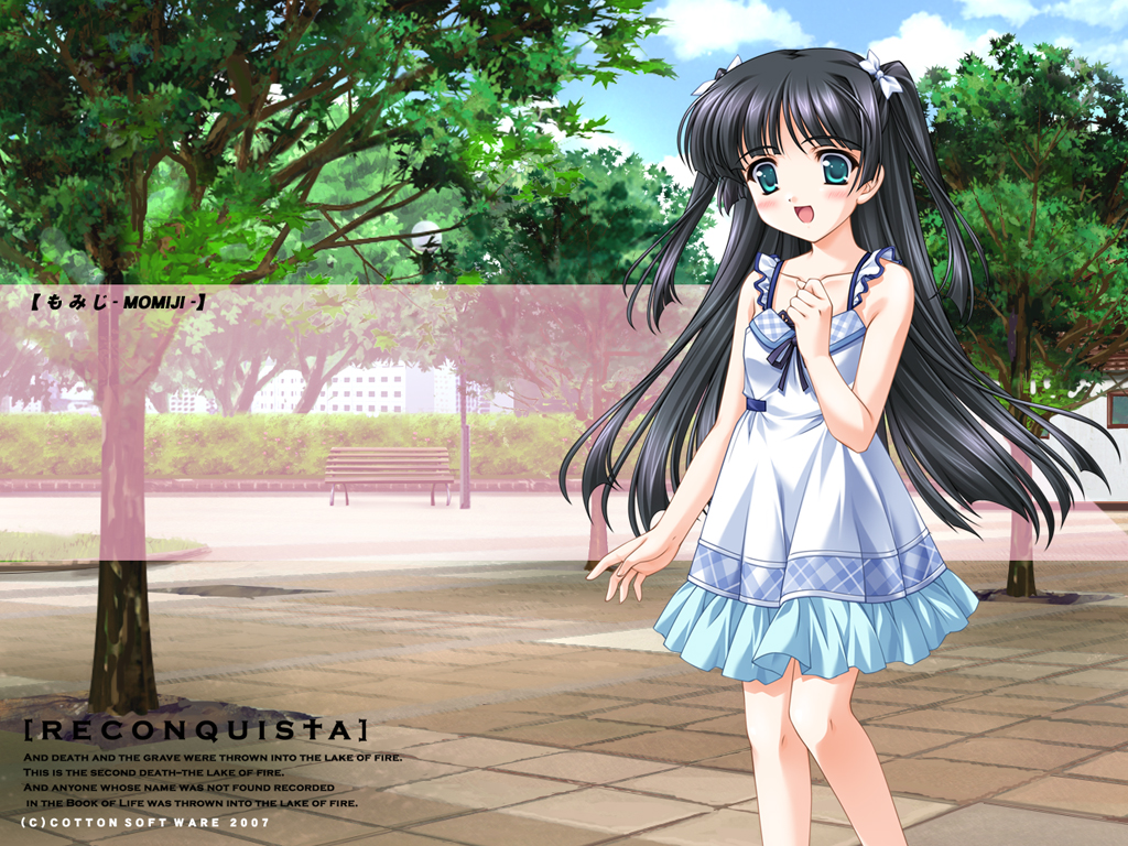 makino momiji, reconquista, 1girl, black hair, blush, dress, female focus, outdoors, smile, solo
