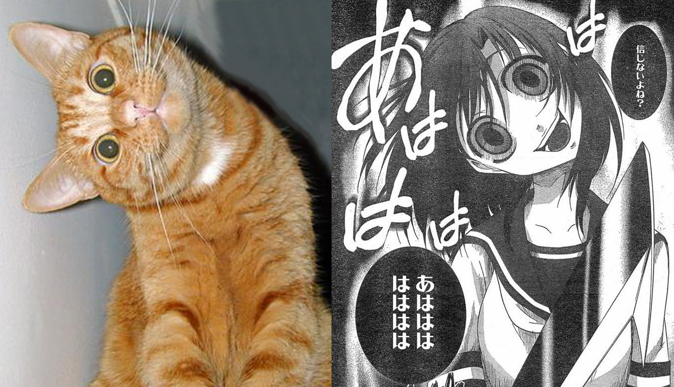 ryuuguu rena, higurashi no naku koro ni, photo (medium), 1girl, billhook, cat, comic, comparison, crazy eyes, hashitsuki nata, hatchet, head tilt, monochrome, nata (tool), parody