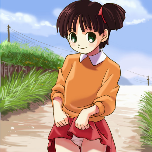 haruyama kazunori, wazuka, yukawa wazuka, wazuka icchomae, lowres, 1girl, black hair, blunt bangs, blush, clothes lift, cloud, cowboy shot, day, female focus, flat chest, grass, green eyes, lifting own clothes, long sleeves, looking at viewer, nature, naughty face, outdoors, panties, pantyshot, parted bangs, power lines, road, scrunchie, short hair, side ponytail, skirt, skirt lift, sky, smile, solo, standing, sweater, underwear, upskirt, utility pole, white panties