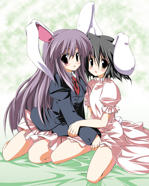 sen (astronomy), inaba tewi, reisen udongein inaba, touhou, 2girls, animal ears, dress, female focus, multiple girls, rabbit ears, skirt