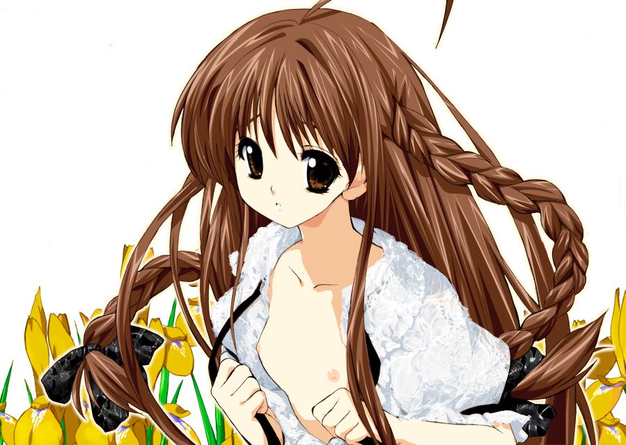 kusaka souji, karen (sister princess), sister princess, 00s, 1girl, ahoge, black ribbon, braid, brown eyes, brown hair, female focus, flat chest, floral background, flower, hair ribbon, iris (flower), loli, long hair, looking at viewer, no bra, nude, open clothes, open shirt, outline, ribbon, shirt, side braid, solo, twin braids, upper body