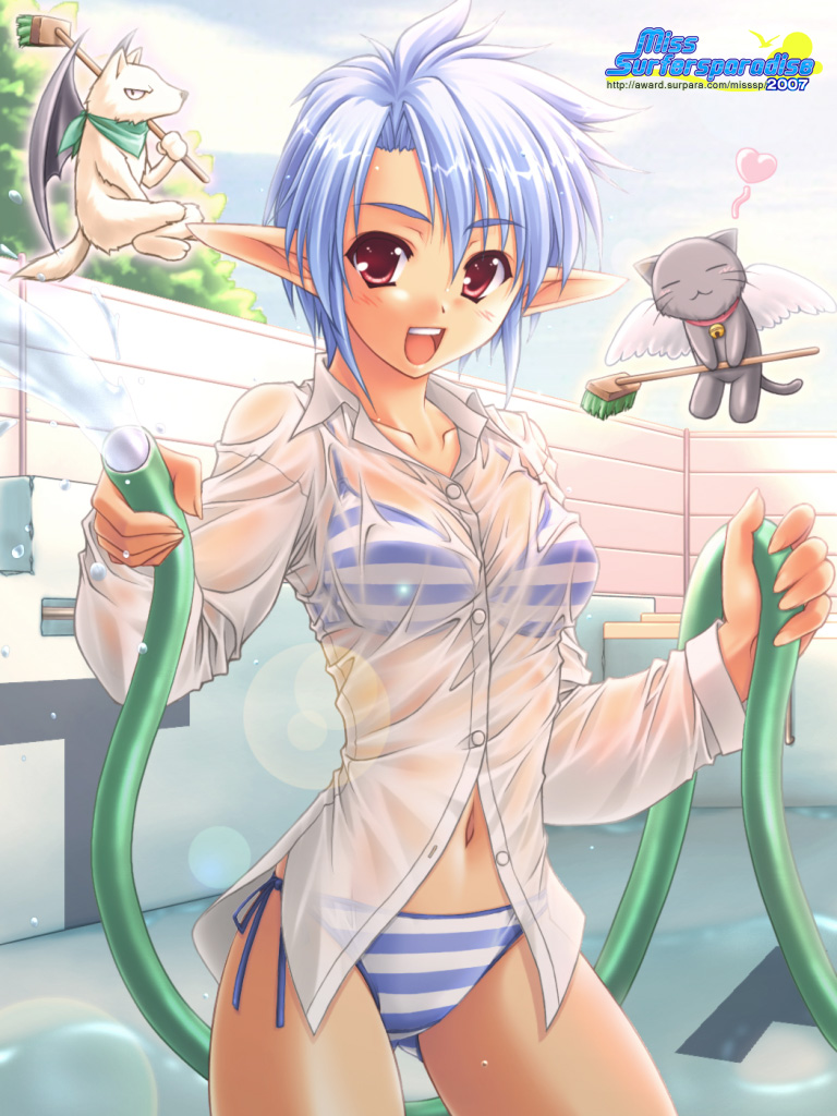 kuroneko sakon, studio tiara, huey ranfaruto, miss surfersparadise, original, 00s, 1girl, 2007, bikini, blue hair, cat, dog, elf, empty pool, female focus, hose, pointy ears, pool, red eyes, shirt, side-tie bikini bottom, solo, striped bikini, striped clothes, swimsuit, wet, wet clothes, wet shirt, wings