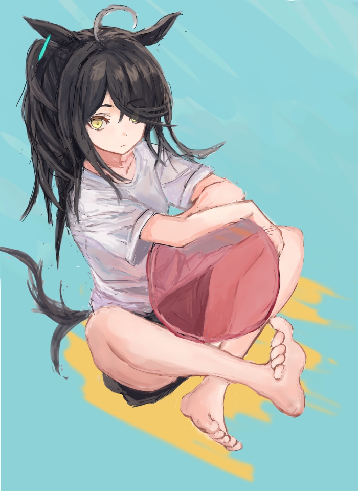 yanagi wakana, manhattan cafe (umamusume), umamusume, 1girl, ahoge, animal ears, ball, barefoot, beachball, black hair, black shorts, closed mouth, earrings, hair between eyes, horse ears, horse girl, horse tail, jewelry, legs, long bangs, long hair, long hair between eyes, multicolored hair, shirt, short sleeves, shorts, single earring, solo, tail, white hair, white shirt, yellow eyes