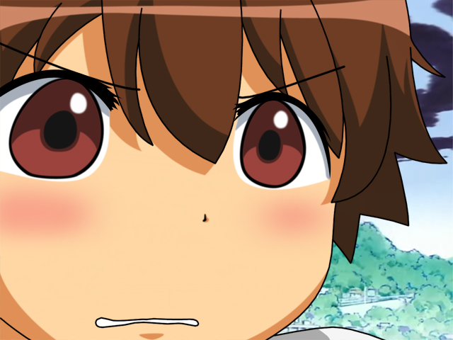 hiyorimi hiro, kaibutsu oujo, tagme, brown eyes, brown hair, gununu (meme), meme, parody