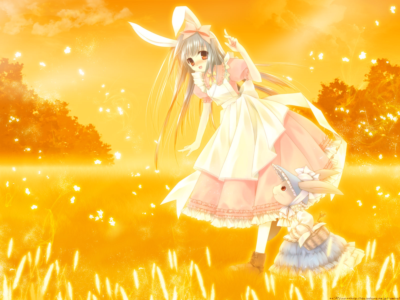 touto seiro, original, highres, animal ears, dress, rabbit, rabbit ears, ribbon