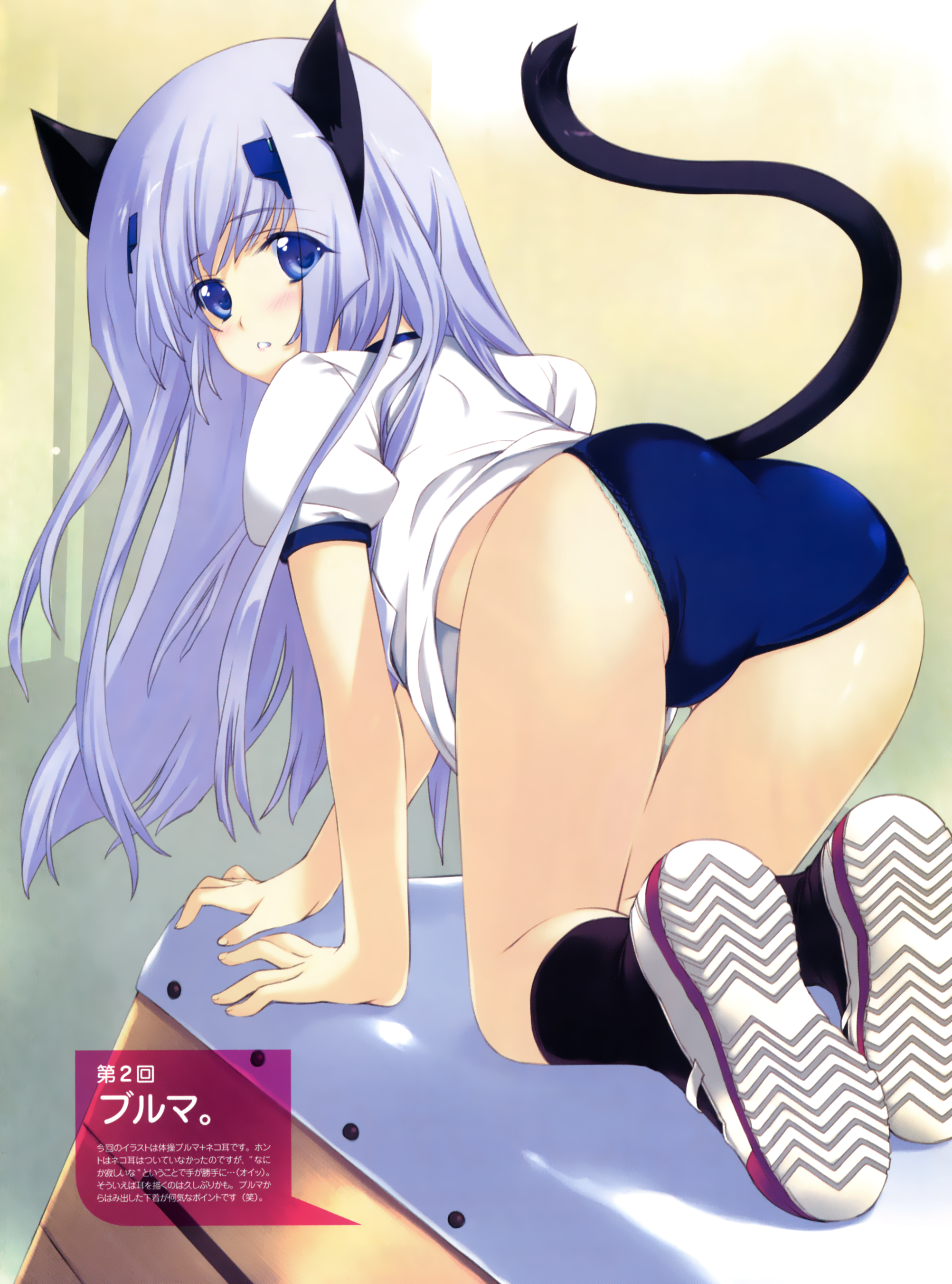 iizuki tasuku, inia sestina, muv-luv, muv-luv alternative, muv-luv total eclipse, total eclipse, absurdres, highres, scan, 1girl, all fours, animal ears, ass, blue eyes, blue hair, blush, buruma, cat ears, cat tail, female focus, gym uniform, looking back, matching hair/eyes, solo, tail, thigh gap