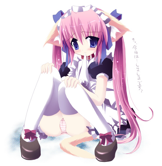 shirokoma (wagahai hakushaku), 1girl, animal ears, cat ears, cat tail, female focus, long hair, mouth hold, panties, pink hair, ribbon, solo, tail, thighhighs, underwear