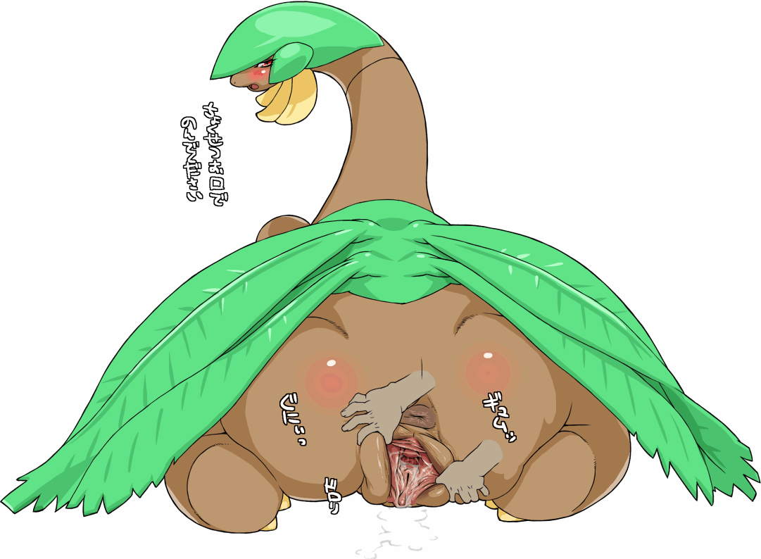 nezunezu, tropius, nintendo, pokemon, translated, 1boy, 1girl, anus, ass, blush, clitoris, fat mons, fingering, furry, gen 3 pokemon, hetero, interspecies, kneeling, large labia, looking back, open mouth, pokemon (creature), pussy, pussy juice, red eyes, simple background, spread pussy, text focus, uncensored, urethra