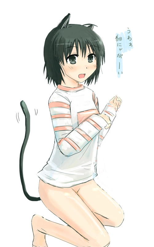 shiki (no-reply), original, animal ears, bottomless, cat ears, cat tail, no panties, solo, tail