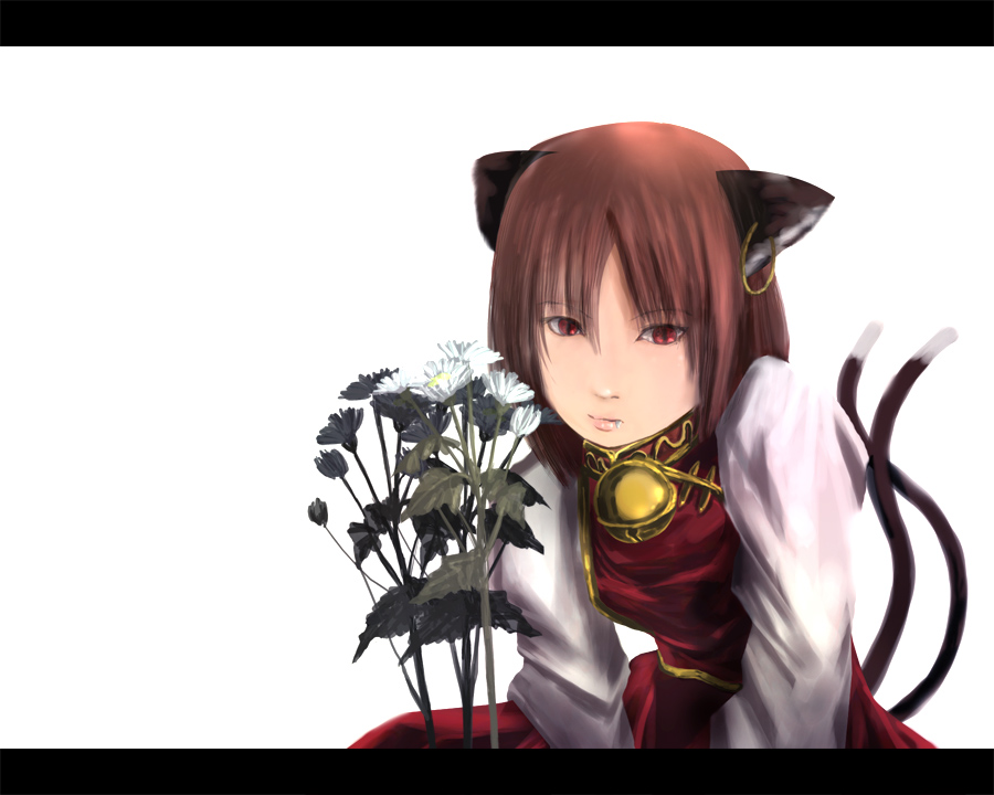 aojiru (shiro to kuro no mukyou), aoziru, chen, touhou, 1girl, animal ears, brown hair, cat ears, cat girl, cat tail, chrysanthemum, earrings, fang, female focus, flower, jewelry, letterboxed, realistic, red eyes, short hair, solo, tail