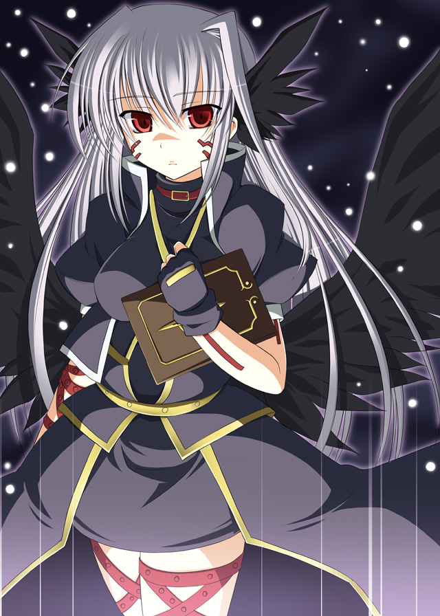 nagami yuu, reinforce, tome of the night sky, lyrical nanoha, mahou shoujo lyrical nanoha, mahou shoujo lyrical nanoha a's, silver hair, 00s, book, facial mark, fingerless gloves, gloves, head wings, multiple wings, red eyes, single hair intake, solo, wings