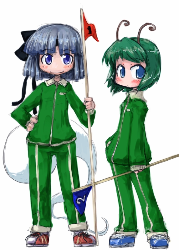 tao, tao (kadoya), konpaku youmu, konpaku youmu (ghost), wriggle nightbug, touhou, silver hair, 2girls, antennae, blue eyes, bow, clothes writing, female focus, flag, green eyes, hair bow, multiple girls, numbered flag, track suit
