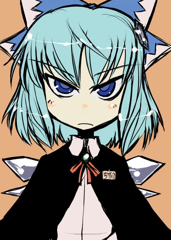 tao, tao (kadoya), cirno, touhou, 1girl, angry, bow, cape, female focus, solo