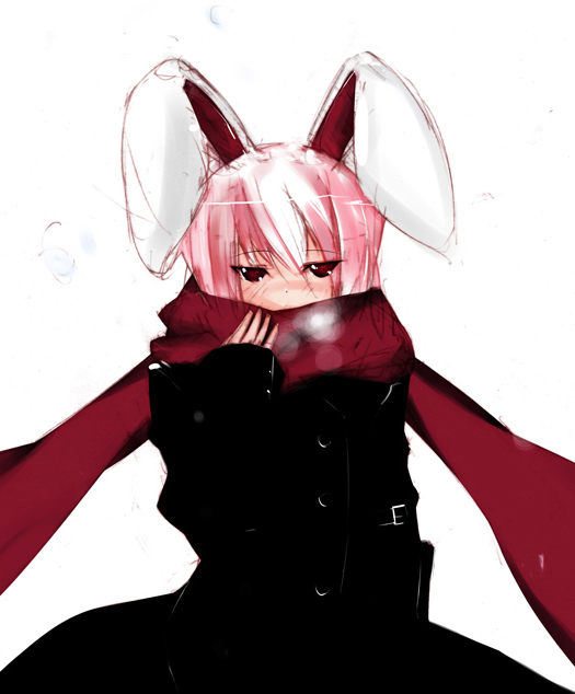 repair, original, animal ears, breath, rabbit ears, scarf