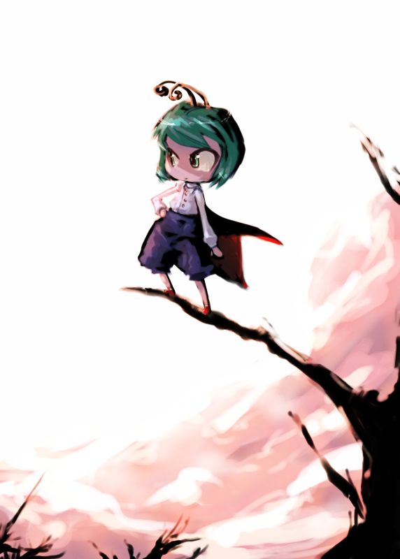 tao, tao (kadoya), wriggle nightbug, touhou, 1girl, antennae, branch, cape, female focus, green eyes, green hair, hand on own hip, in tree, matching hair/eyes, solo, standing, tree