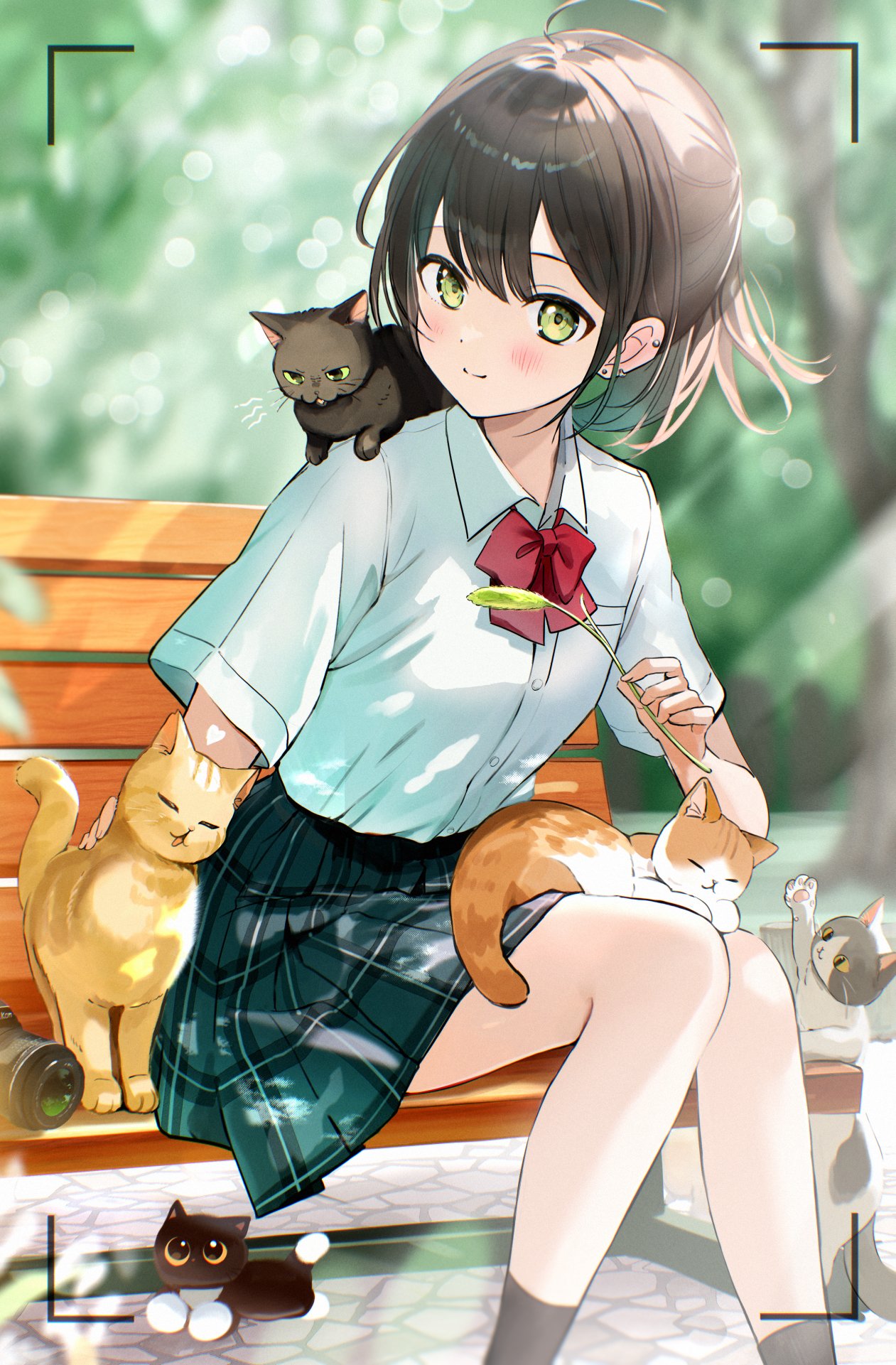 yukimaru nun, original, highres, 1girl, bench, black hair, black socks, blush, bow, camera, cat, cat teaser, closed eyes, closed mouth, collared shirt, green eyes, holding, holding cat teaser, looking at viewer, on bench, open mouth, outdoors, red bow, school uniform, shirt, shoes, short hair, short sleeves, sitting, skirt, sleeping, smile, socks, tree, viewfinder, white shirt