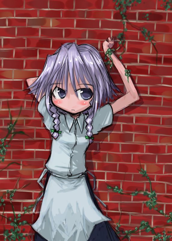 tao, tao (kadoya), izayoi sakuya, touhou, silver hair, 1girl, braid, female focus, short hair, solo, twin braids
