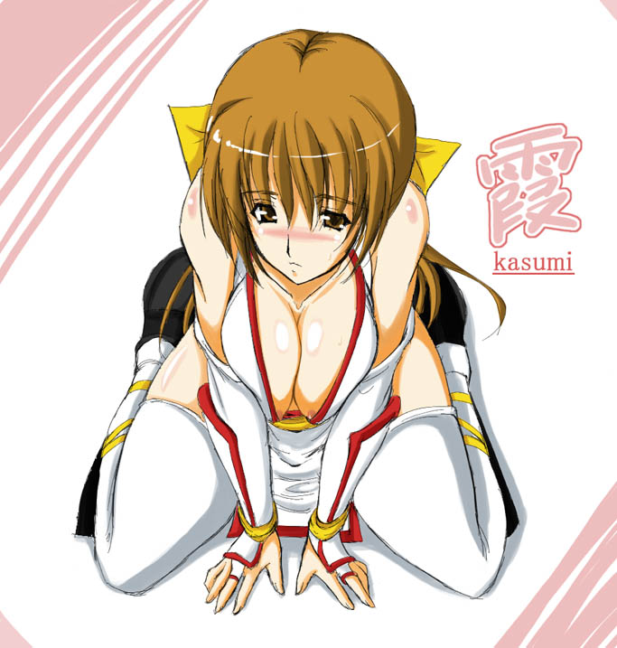 n820, kasumi (doa), dead or alive, tecmo, 1girl, breasts, breasts squeezed together, female focus, pelvic curtain, solo, thighhighs