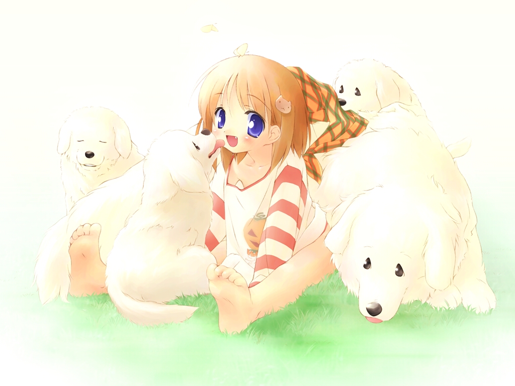 waha, yamato suzuran, suigetsu, baby animal, barefoot, blue eyes, blush, brown hair, bug, butterfly, dog, headscarf, insect, licking another's face, orange headscarf, puppy, solo