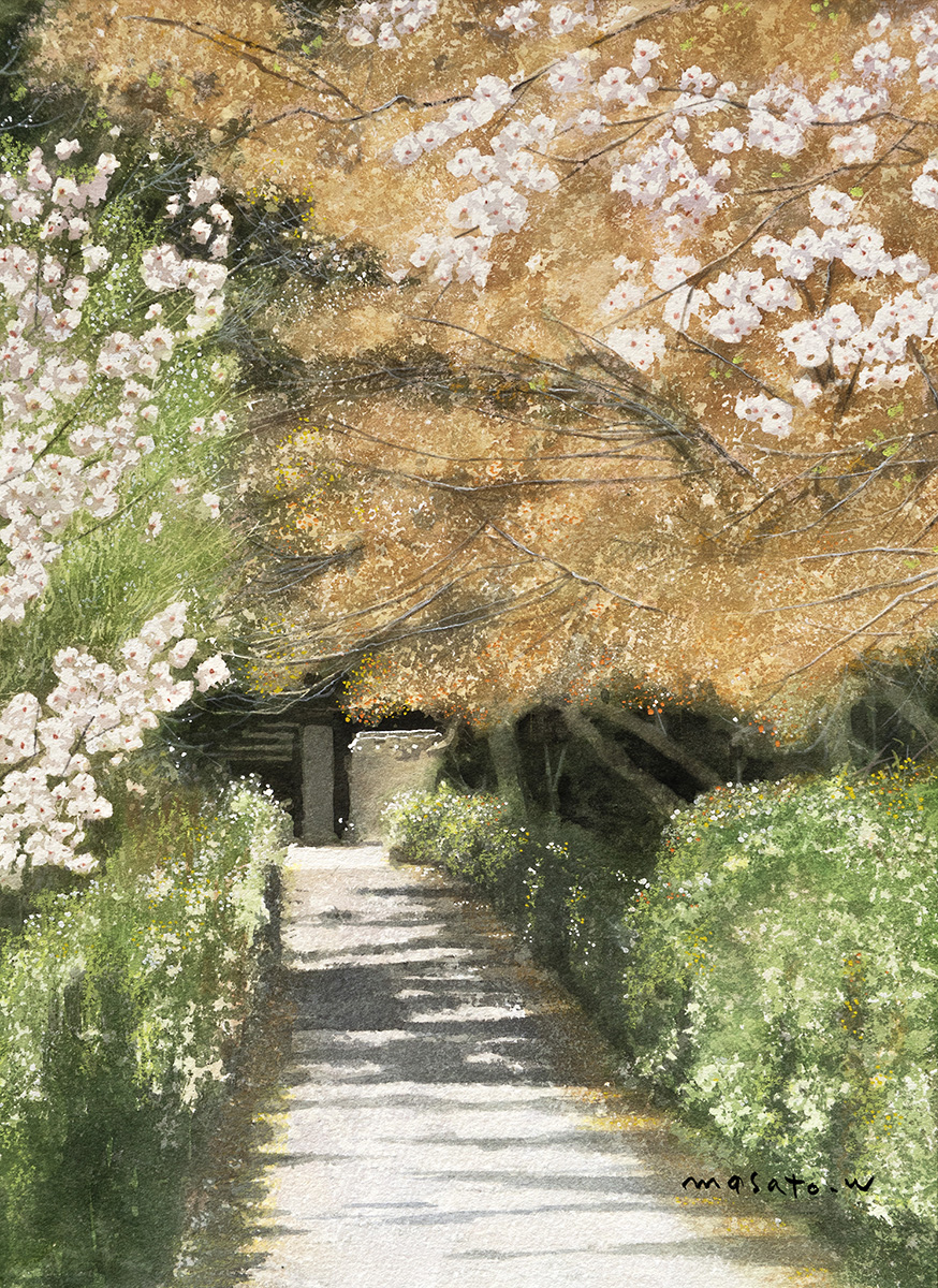 watanabe masato, original, commentary request, highres, painting (medium), traditional media, watercolor (medium), bush, day, flower, kyoto, no humans, outdoors, path, road, scenery, shadow, tree, white flower
