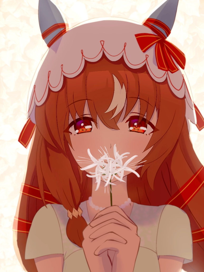 still in love (umamusume), umamusume, 1girl, animal ears, bow, brown hair, ear ribbon, flower, flower over mouth, hair between eyes, hair over shoulder, hands up, holding, holding flower, interlocked fingers, long hair, looking at viewer, multicolored hair, neck, own hands clasped, own hands together, red eyes, red ribbon, ribbon, shirt, simple background, solo, spider lily, streaked hair, user vkfw4324, veil, very long hair, white background, white flower, white hair, white shirt, white spider lily, white veil