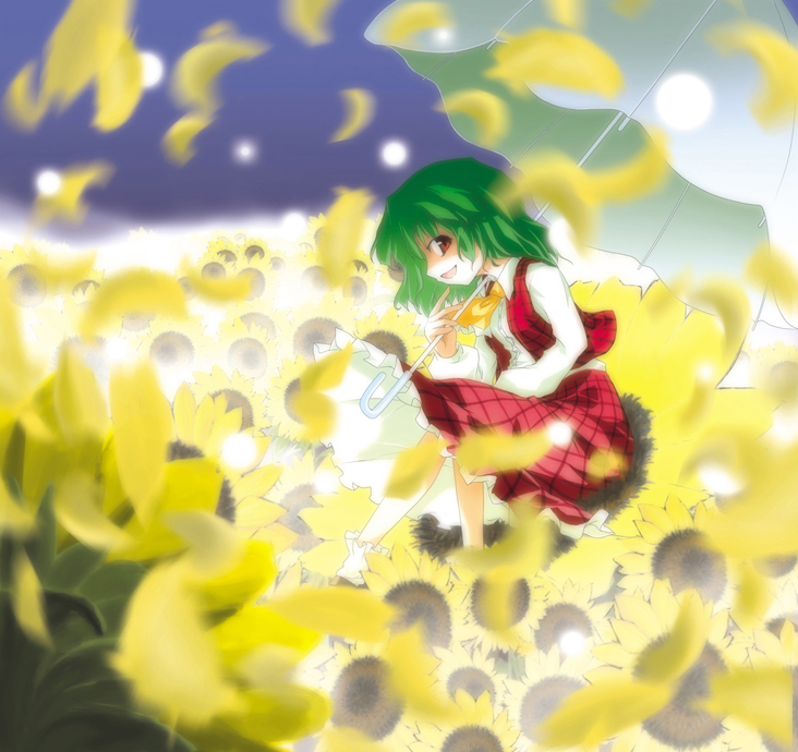 hiyorimi, kazami yuuka, touhou, 1girl, ascot, female focus, flower, green hair, parasol, petals, plaid clothes, plaid skirt, plaid vest, profile, red eyes, short hair, sideways mouth, skirt, skirt set, smile, solo, sunflower, umbrella, vest