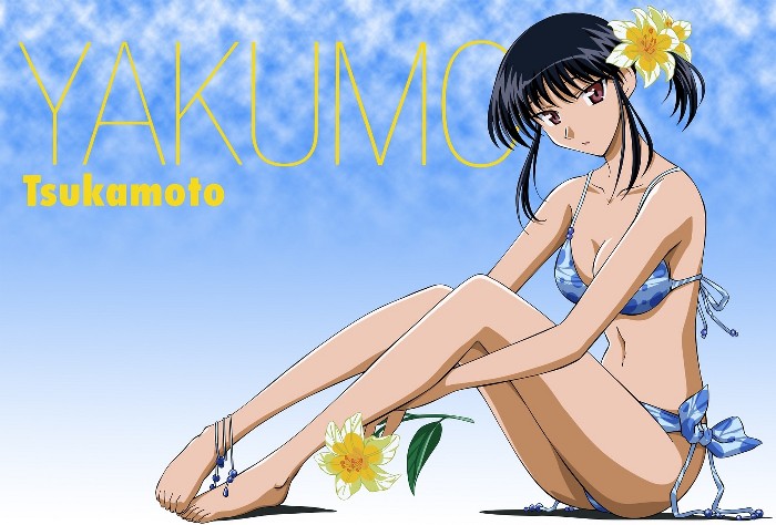 hara yumiko, tsukamoto yakumo, school rumble, wallpaper, tagme, 00s, 1girl, barefoot, bikini, black hair, blue bikini, breasts, character name, cleavage, flower, full body, hair flower, hair ornament, looking at viewer, navel, outdoors, red eyes, short hair, side-tie bikini bottom, sitting, sky, solo, swimsuit