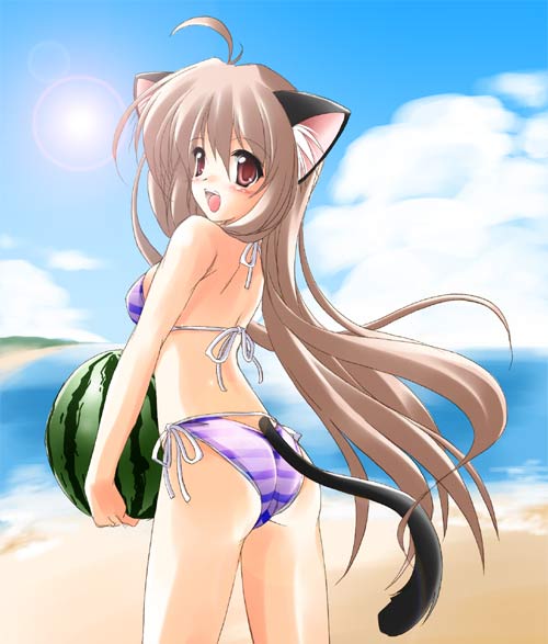 kamiya tomoe, original, 1girl, animal ears, beach, bikini, cat ears, cat tail, day, female focus, food, fruit, holding, holding food, holding fruit, holding watermelon, outdoors, solo, striped bikini, striped clothes, swimsuit, tail, watermelon