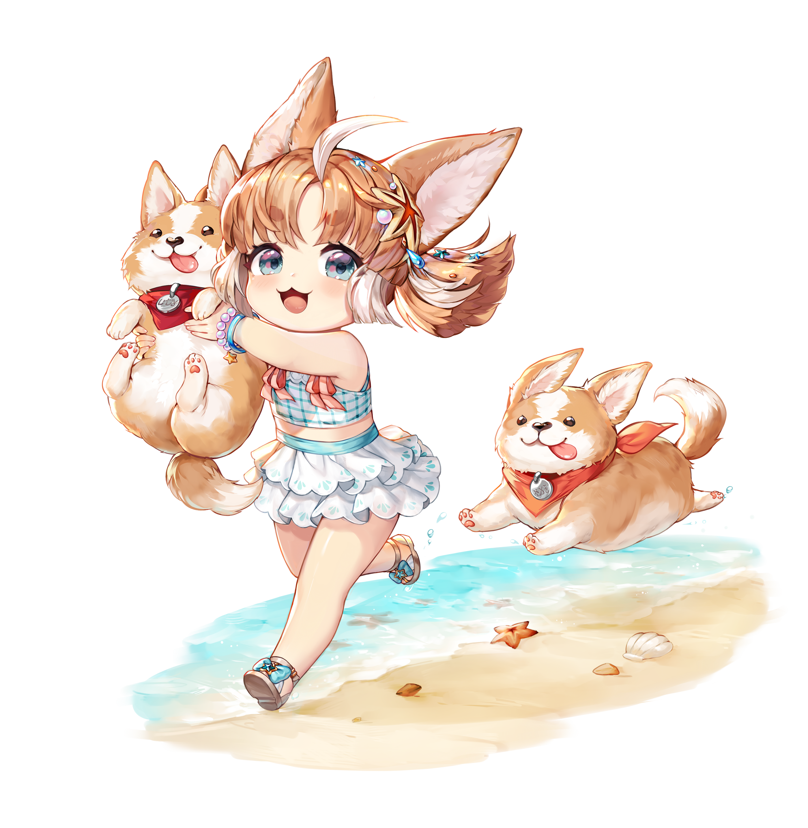 king's raid, absurdres, artist request, commentary, commentary request, english commentary, highres, korean commentary, mixed-language commentary, official art, second-party source, 1girl, :3, ahoge, animal ears, bare legs, beach, bikini, blue bikini, blue eyes, bow, bracelet, brown hair, carrying, collar, dog, dog ears, dog girl, footwear bow, full body, jewelry, pearl bracelet, running, sand, sandals, seashell, shell, short twintails, skirt, smile, solo, star (symbol), starfish, starfish hair ornament, swimsuit, swimsuit skirt, taily (king's raid), tongue, tongue out, twintails, water, welsh corgi, white hair, white skirt, white streaks