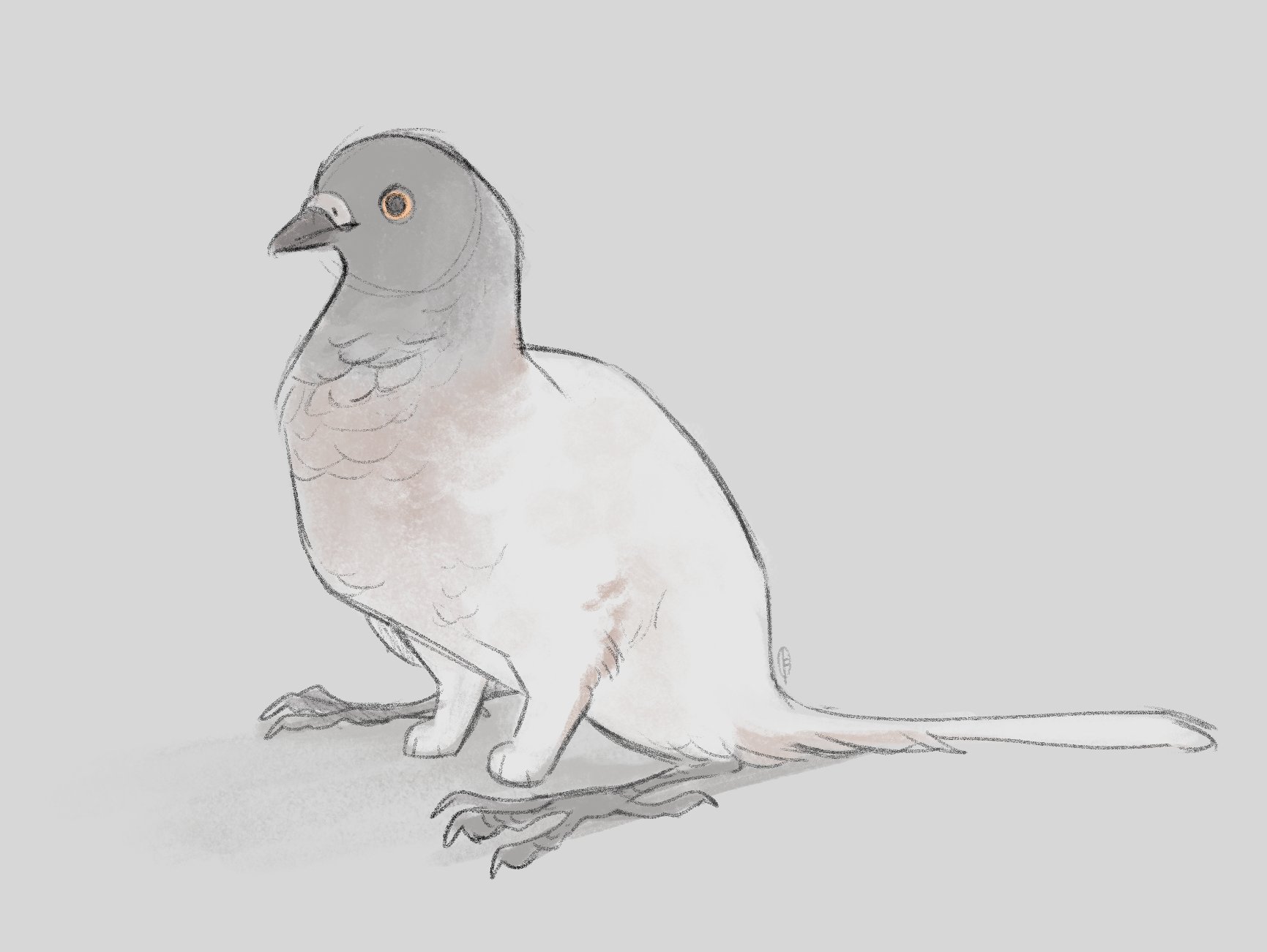 original, commentary, english commentary, highres, animal, animal focus, beak, bird, creature, creature focus, finchwing, grey background, griffin, no humans, orange eyes, pigeon, simple background, sitting, solo