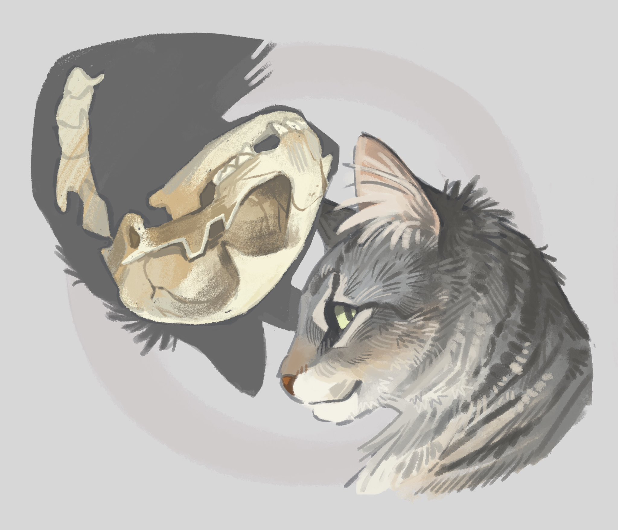 original, commentary, english commentary, highres, animal, animal focus, animal skull, cat, cropped head, finchwing, from side, gift art, green eyes, grey background, grey cat, grey fur, looking at viewer, no humans, profile, realistic, simple background, smile, solo focus, tabby cat, whiskers