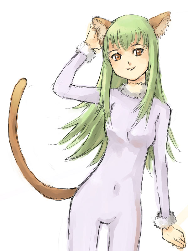 yamamoto shima, amber (darker than black), darker than black, tagme, 00s, 1girl, animal ears, breasts, cat ears, cat tail, female focus, navel, simple background, solo, standing, tail, white background