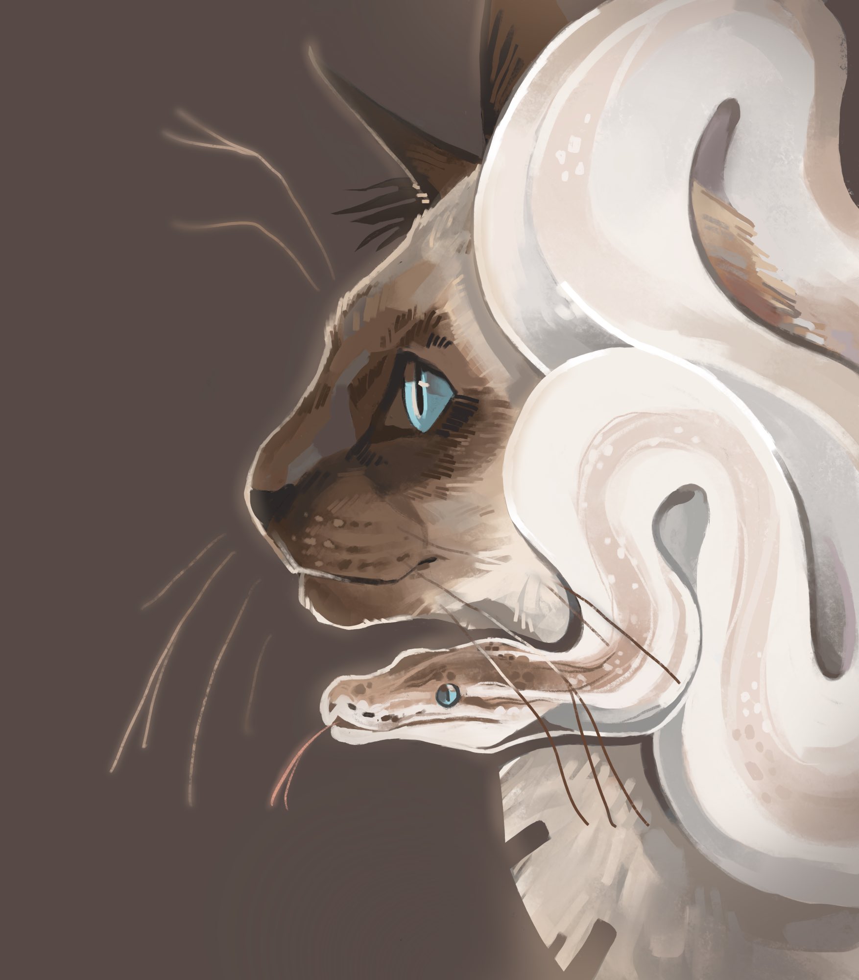 original, commentary, english commentary, highres, animal, animal focus, blue eyes, brown background, cat, colorpoint, finchwing, from side, no humans, oriental cat, profile, realistic, siamese cat, simple background, snake, tongue, tongue out, whiskers