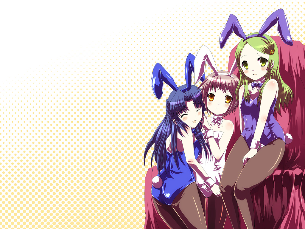 suzumiya haruhi no yuuutsu, tagme, 00s, pantyhose, playboy bunny