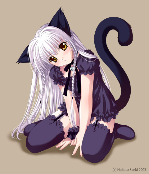 saeki hokuto, animal ears, braid, cat ears, cat tail, sitting, solo, suspenders, tail, thighhighs, twin braids, white hair, yellow eyes